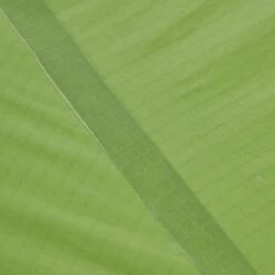 VAUDE LIZARD SEAMLESS 1-2P - Einpersonenzelt 35 VAUDE LIZARD SEAMLESS 1-2P - Einpersonenzelt -Primus Verkäufe 5637736447 af power lizard seamless 12p cress green vaude 24